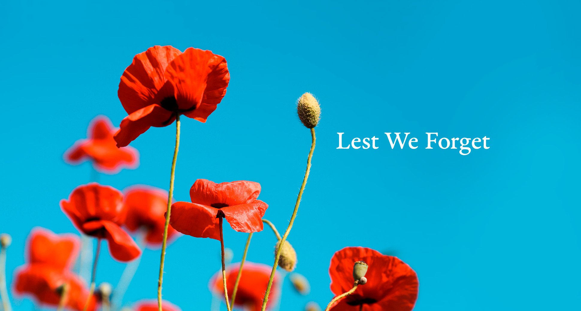 We’re open on Remembrance Day